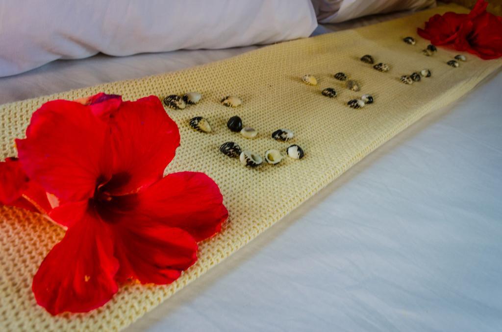 Coralview Island Resort Tavewa Island Екстер'єр фото